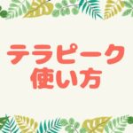 eBayリサーチツール「テラピーク」の使い方を解説