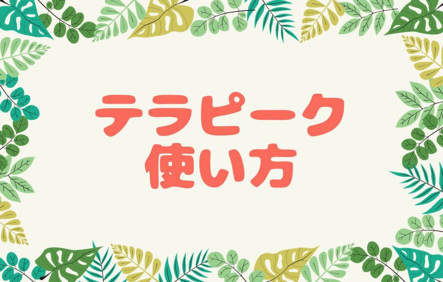 eBayリサーチツール「テラピーク」の使い方を解説